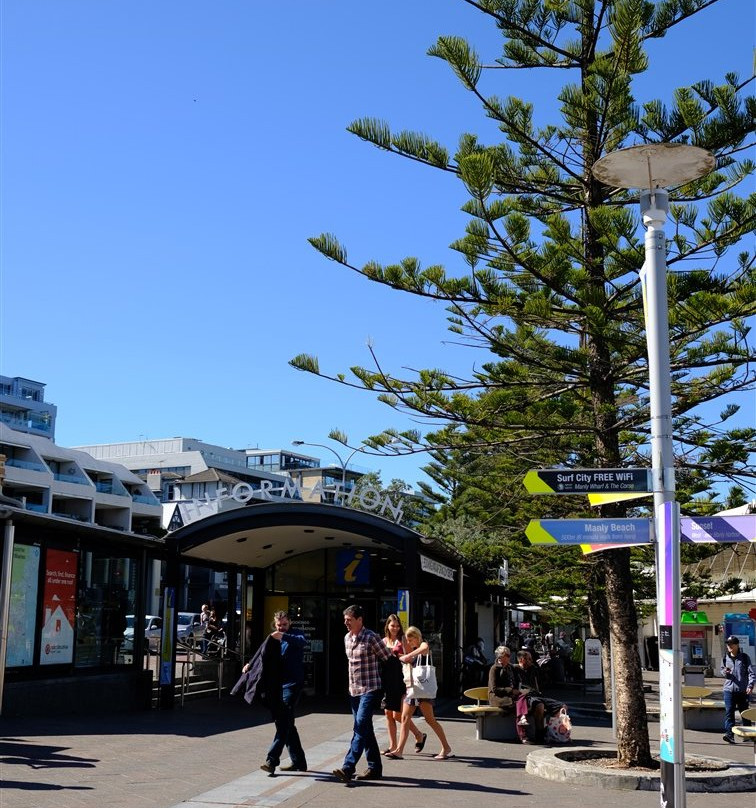 Manly Visitor Information Centre景点图片