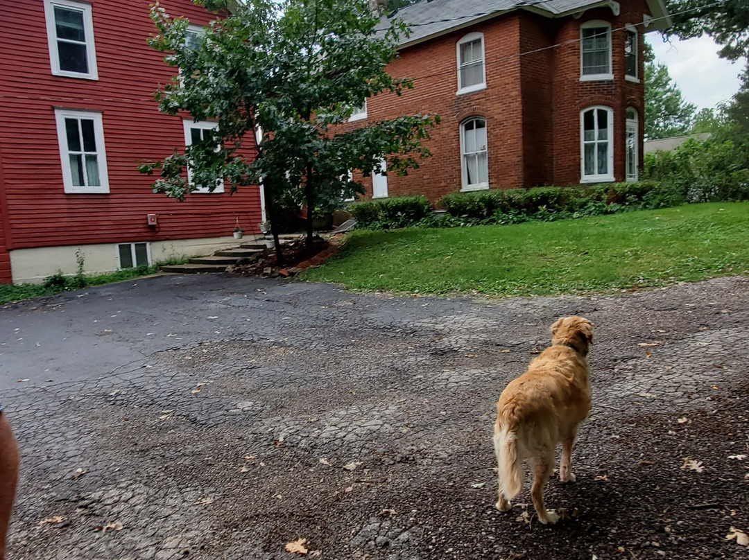 Strawberry Farm Bed & Breakfast主图