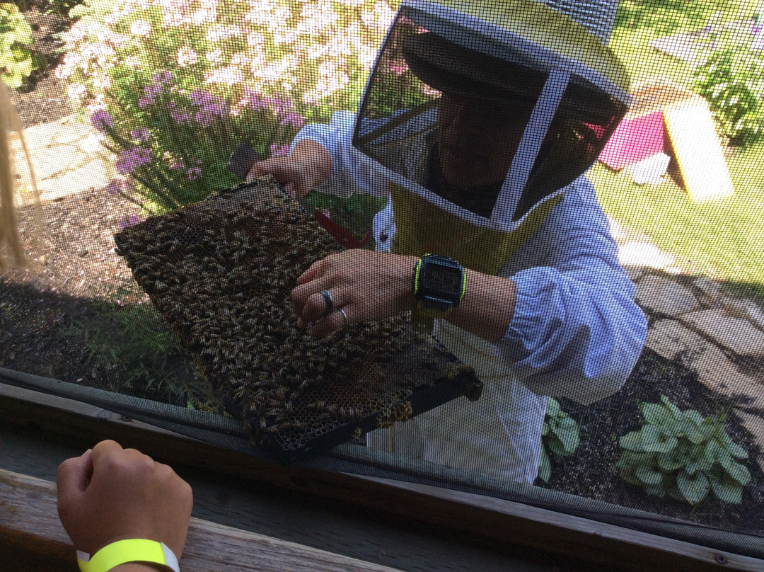 Intermiel-Mirabel必去景点