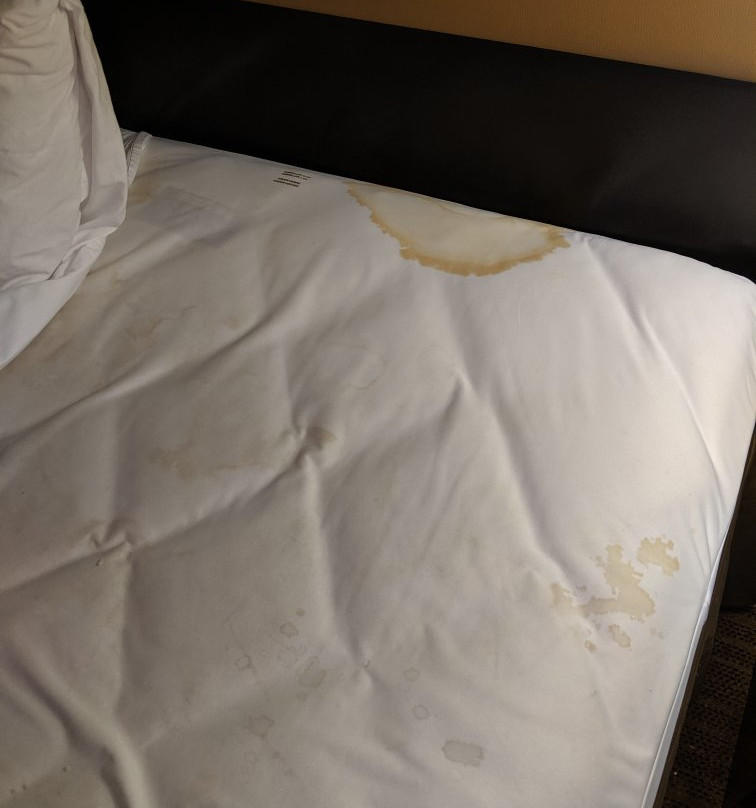 Extended Stay America - Chicago - Buffalo Grove - Deerfield主图