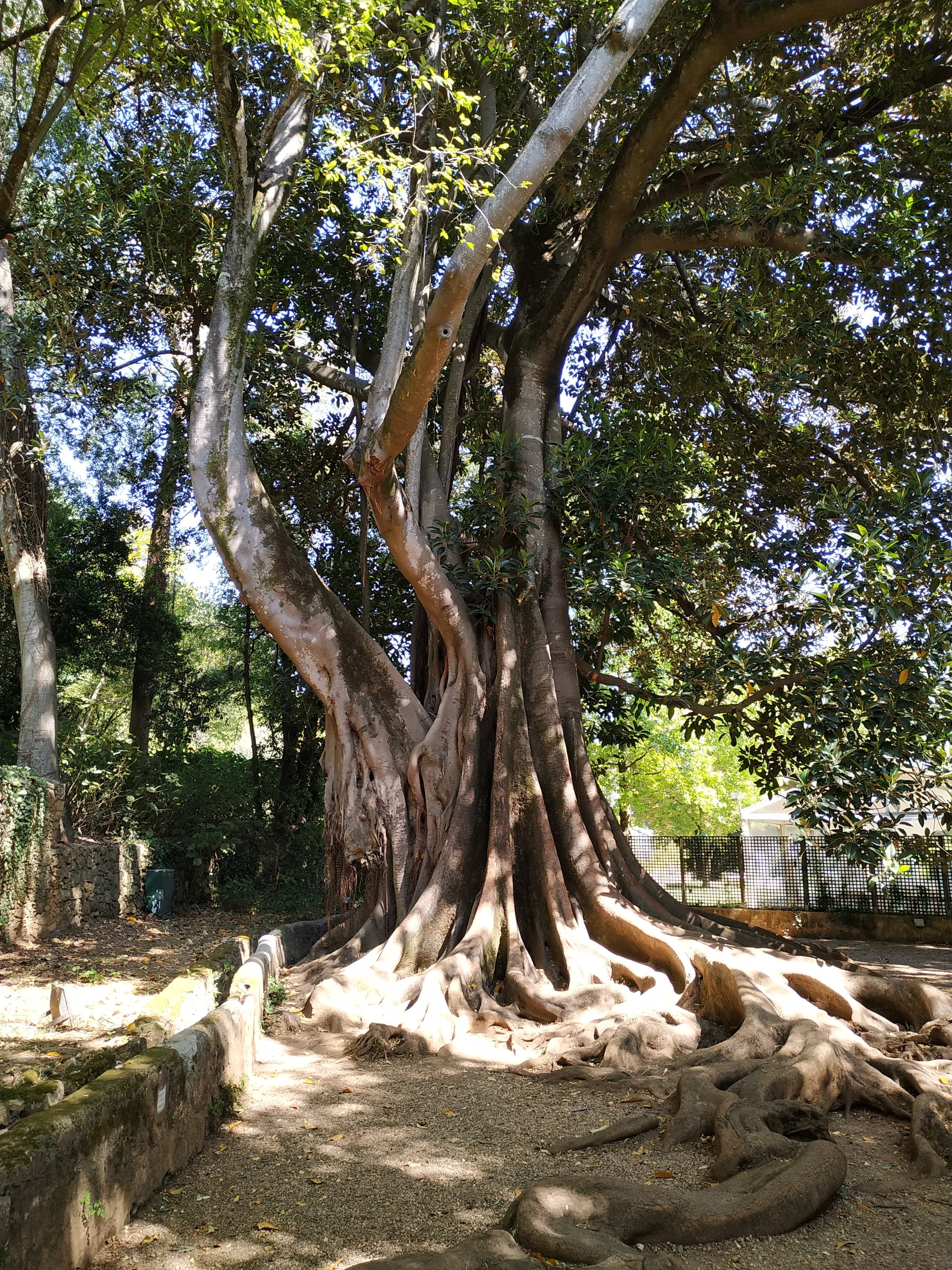 Quinta Das Lagrimas-家庭/游戏区