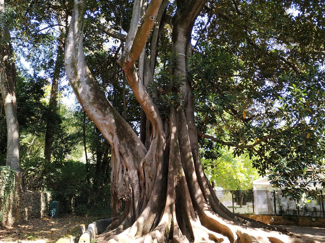 Quinta Das Lagrimas主图