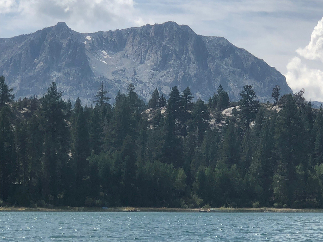 六月湖松树酒店主图