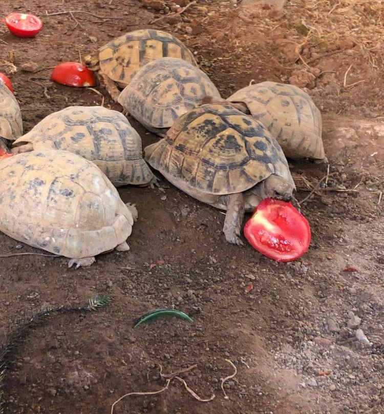 Chambre D' Hote主图