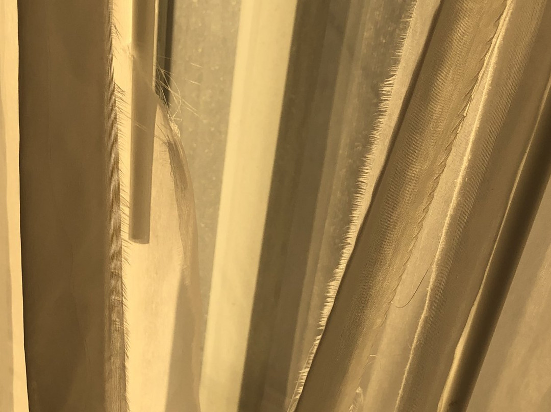 La Quinta Inn & Suites by Wyndham Kennewick主图