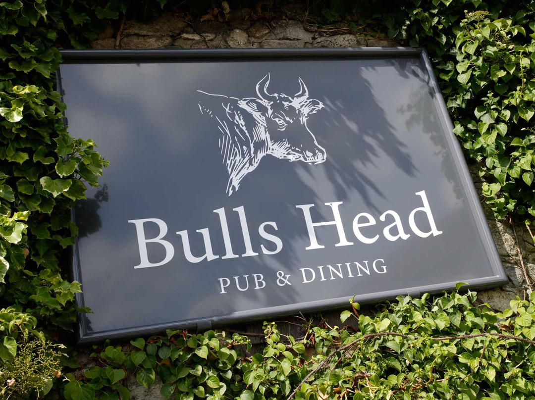 Bull's Head