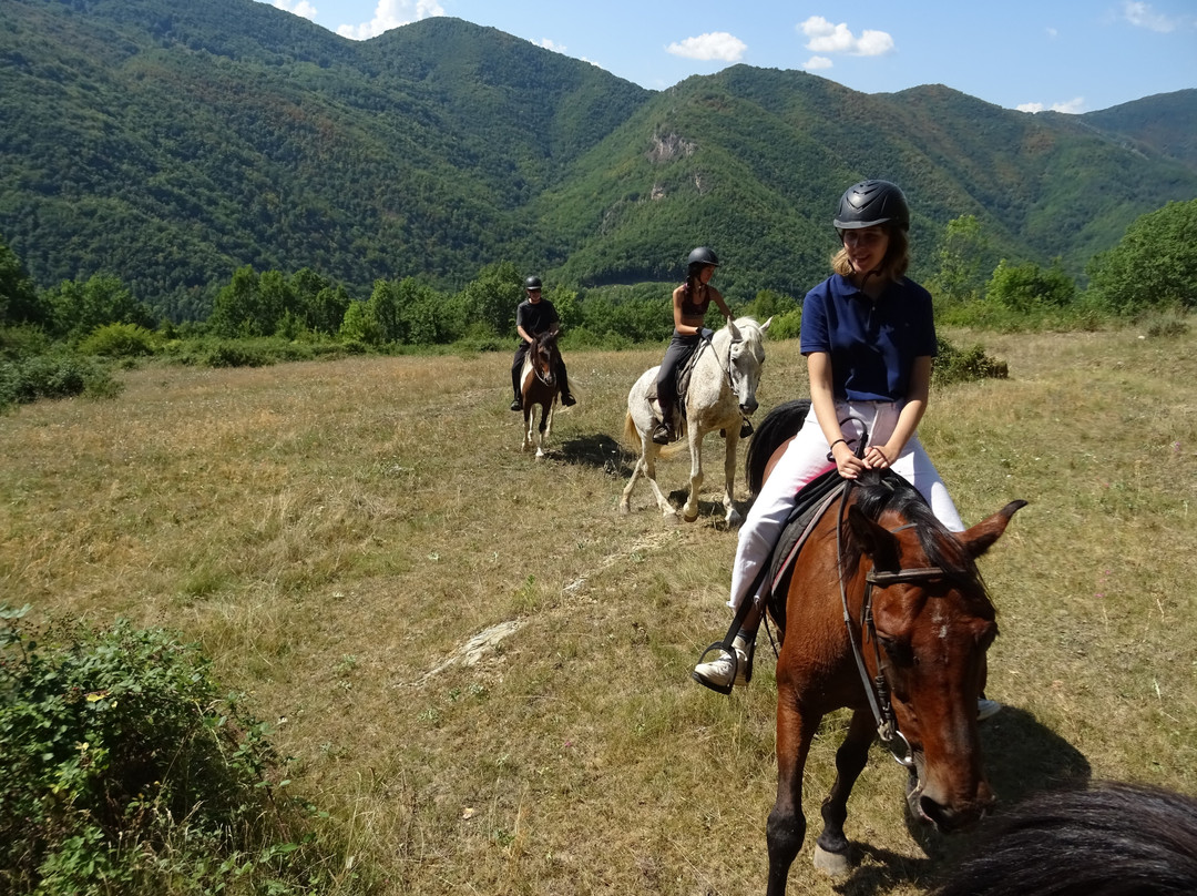 TRAC Terápies I Rutes Amb Cavall景点图片