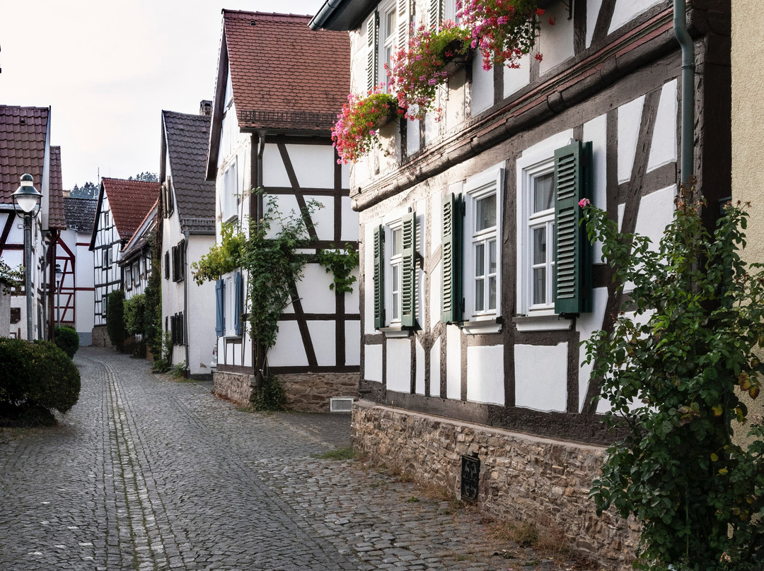 Bad Nauheims Altstadt景点图片