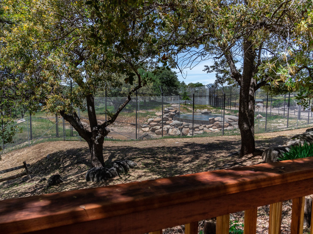 White Oak Wild Nights at Lions Tigers & Bears