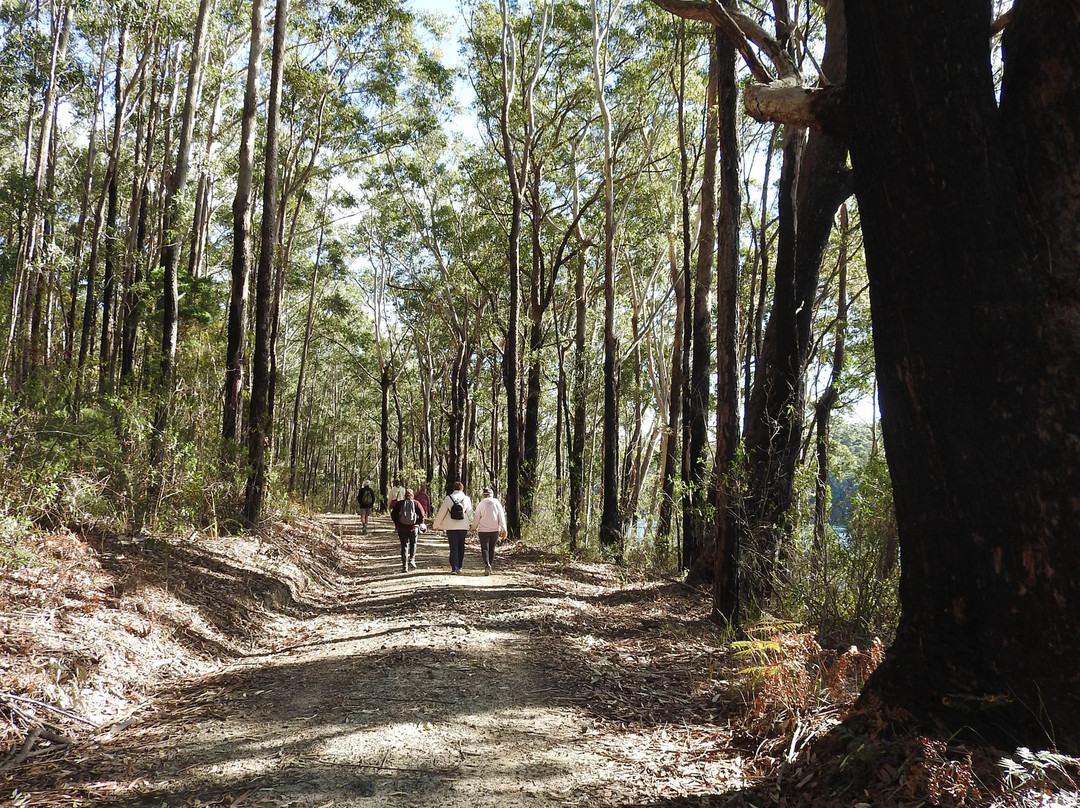 Giriwa Walking Track-Burrill Lake必去景点