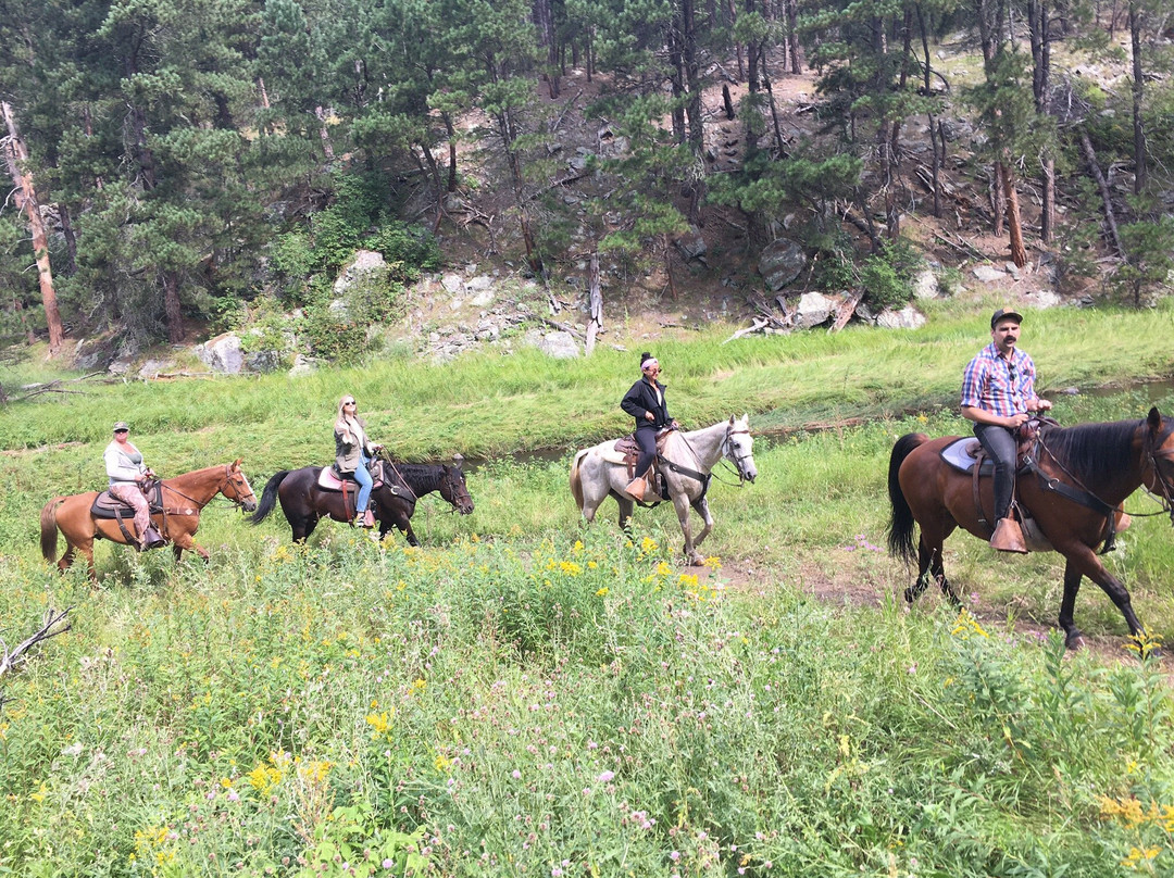 Blue Bell Stables-卡斯特必去景点