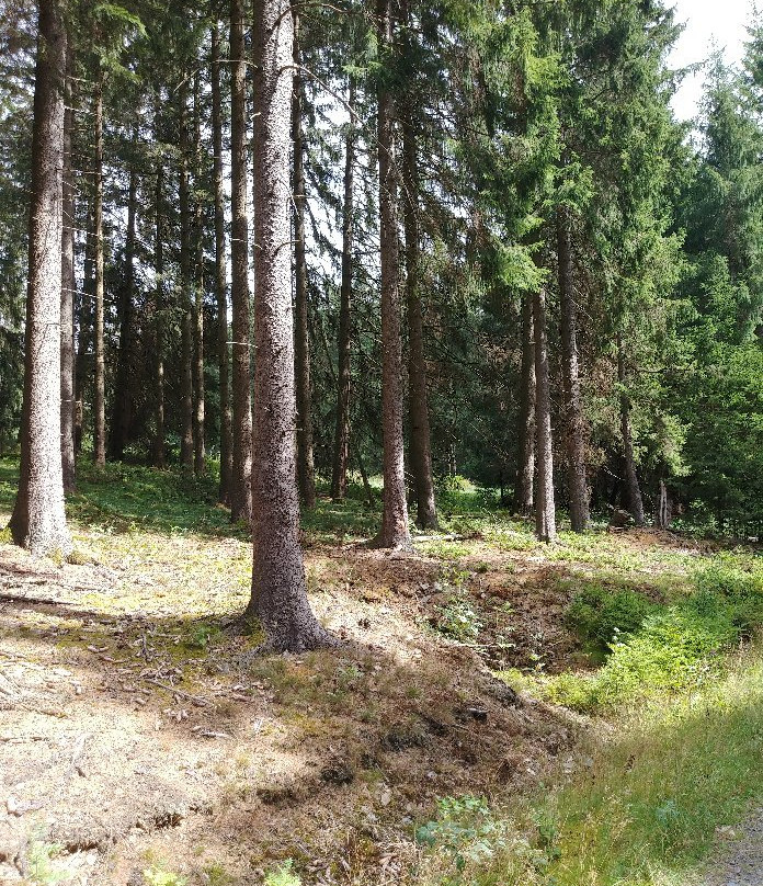 Campingplatz Braunlage
