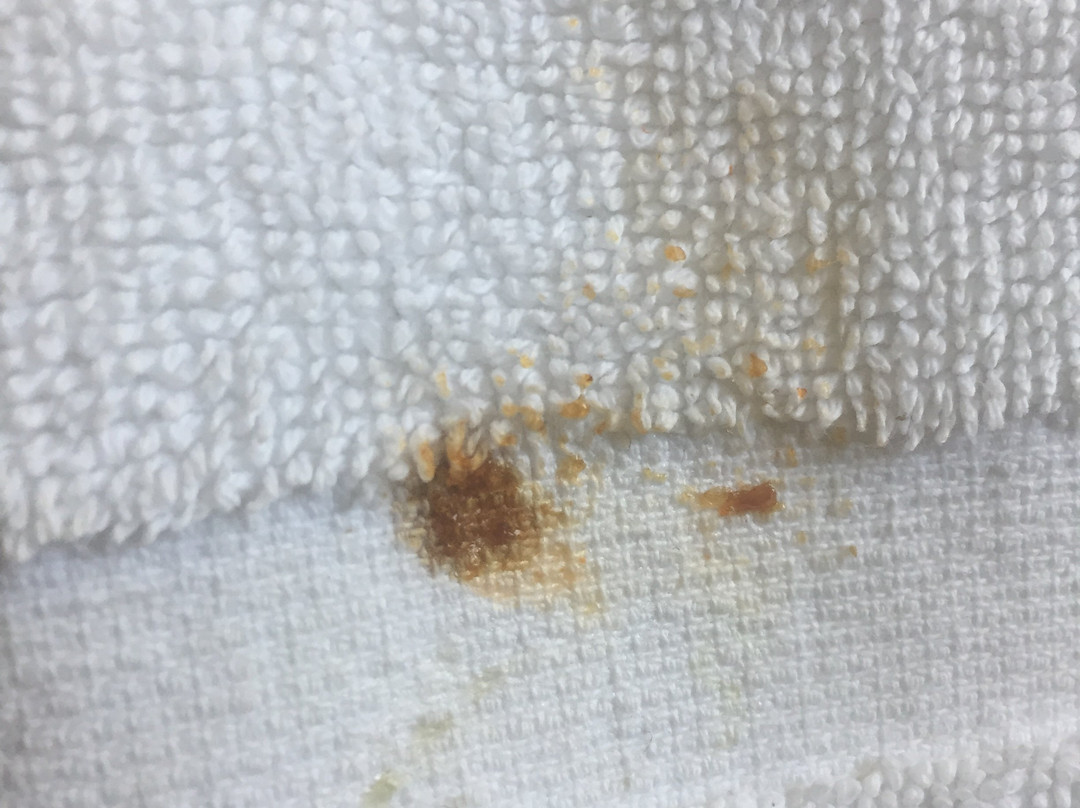 西城汽车旅馆主图