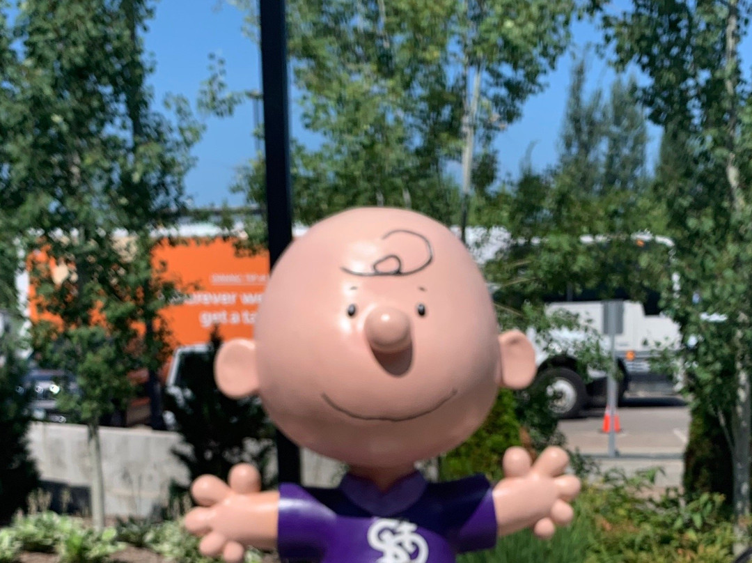 CHS Field-圣保罗必去景点