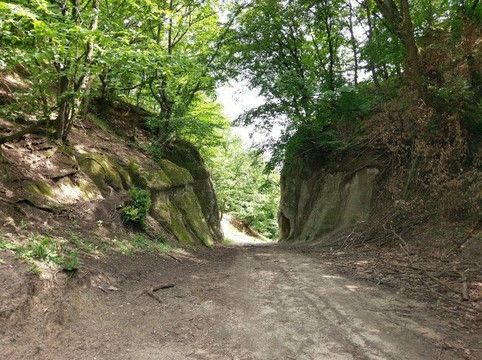 Cetatea Almasului-Salaj County必去景点