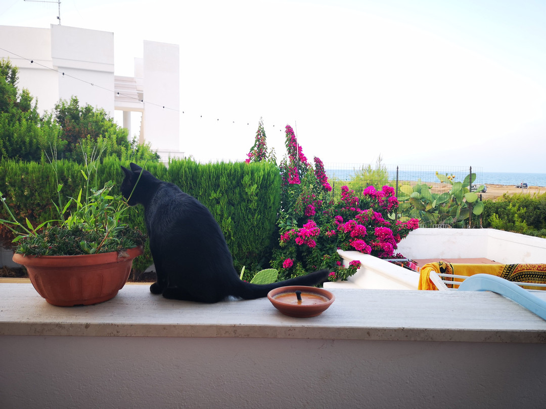 La Caletta B&B主图