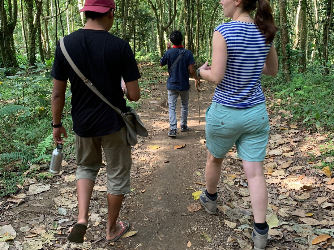 Antonis Buton Tetebatu Tour Guide-Tetebatu必去景点