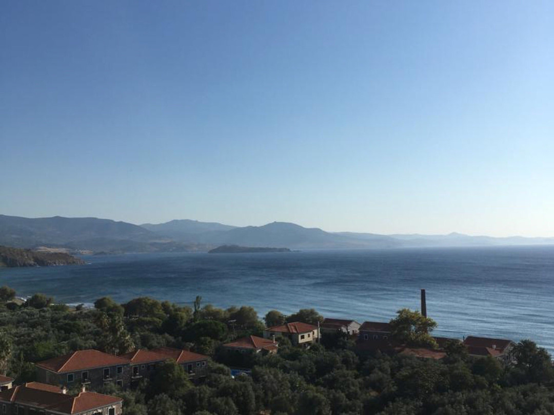 Nassos Guest House主图