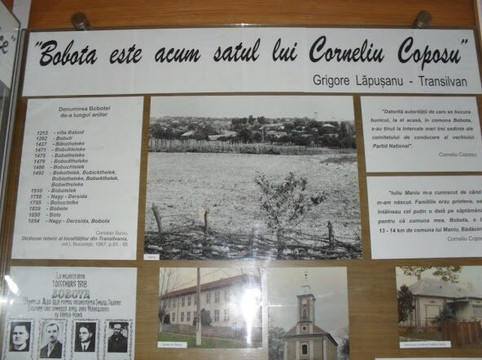 Complexul Cultural Sincai - Coposu-Bobota必去景点