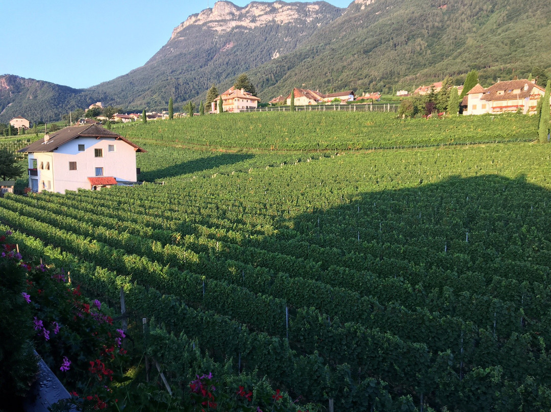 Gastehaus Mair主图