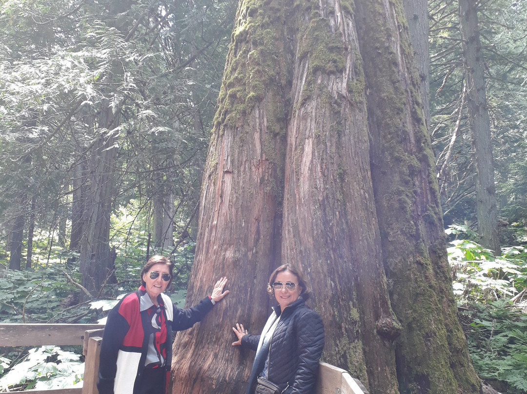 Giant Cedars Boardwalk Trail-雷夫尔斯托克必去景点