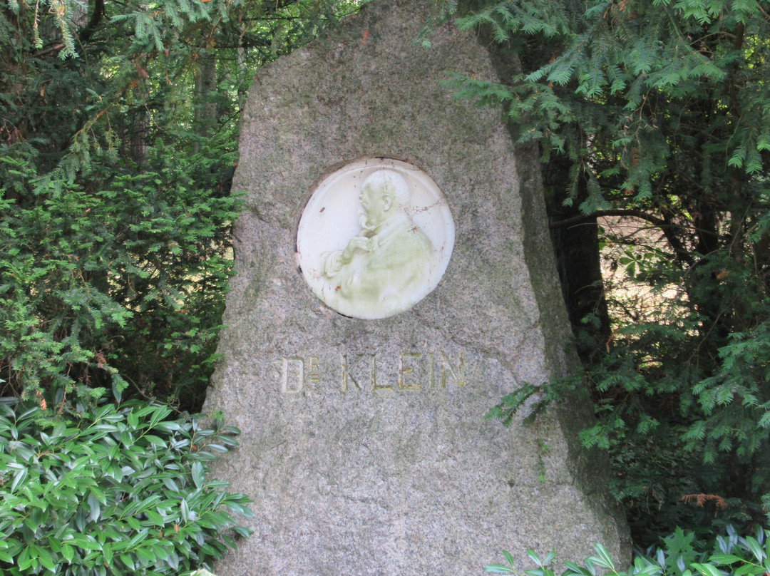 Docteur Martin Klein-Mondorf-les-Bains必去景点