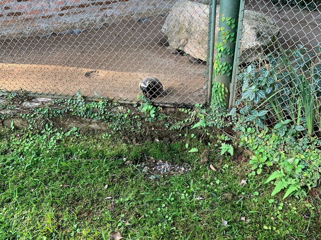 Parque Zoobôtanico-Joinville必去景点