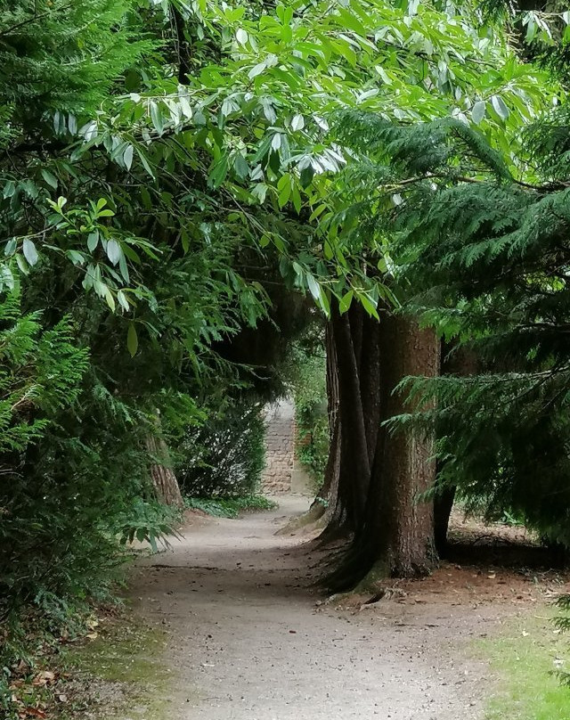 Arboretum de Balaine景点图片