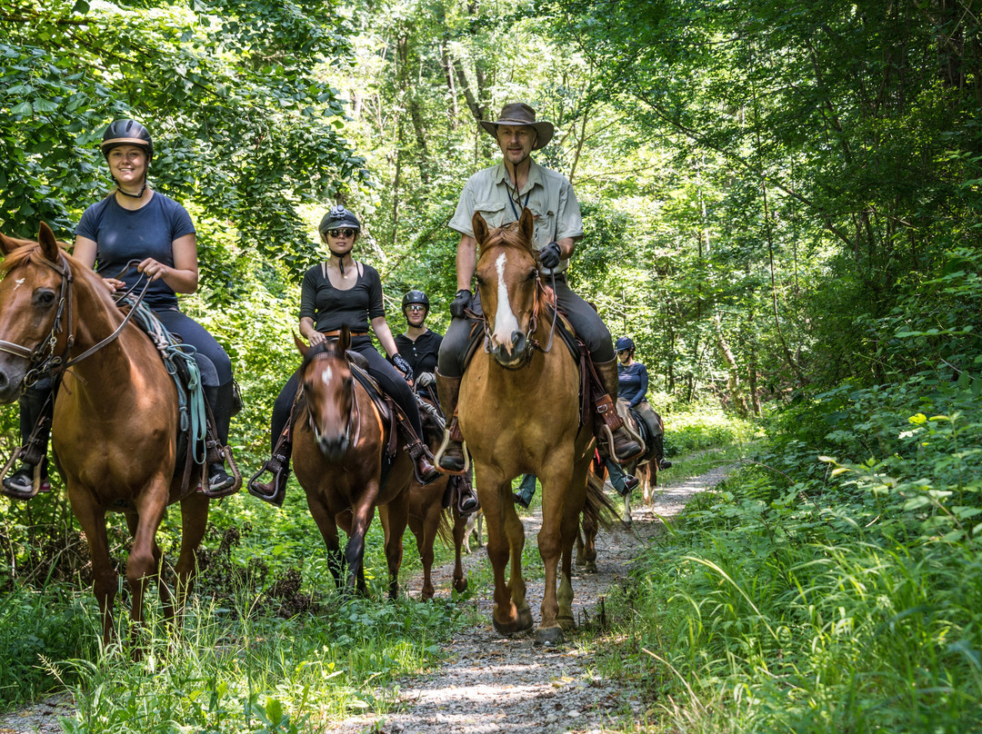 Horses on Breg-Knezak必去景点