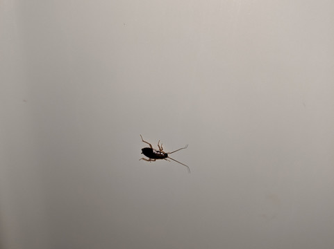 山泉汽车旅馆及房车公园主图