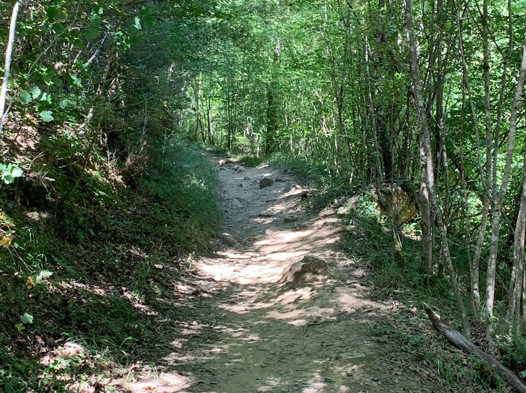 I Canaloni Del Torrente Farma-Roccastrada必去景点