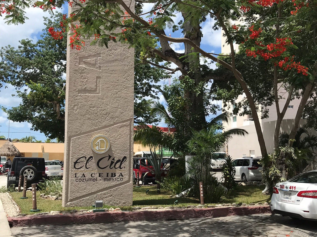 El Cid Ceiba Resort Day Pass景点图片