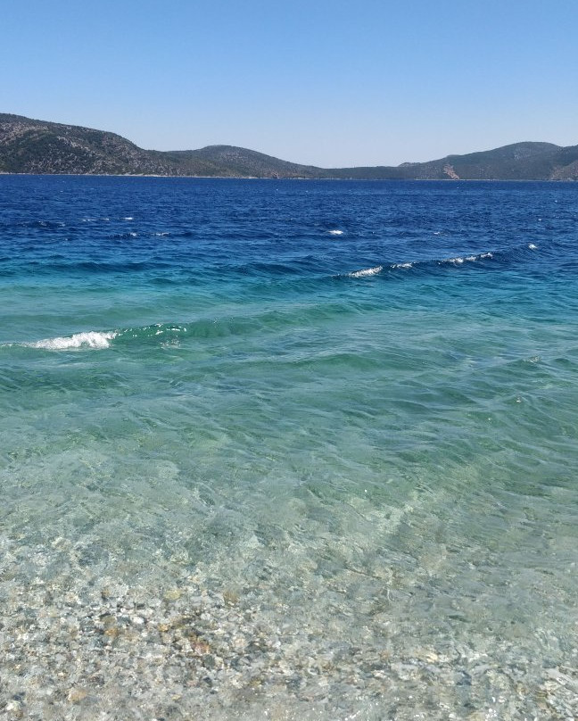 Agios Dimitrios Beach景点图片