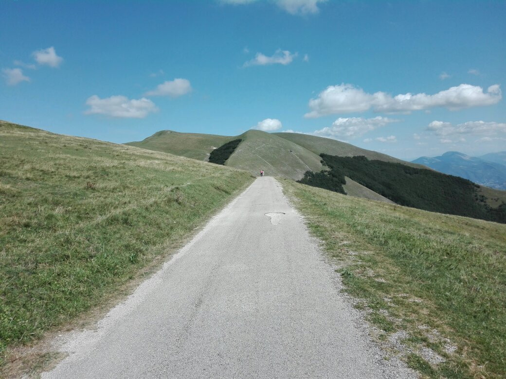 Monte Nerone-Apecchio必去景点