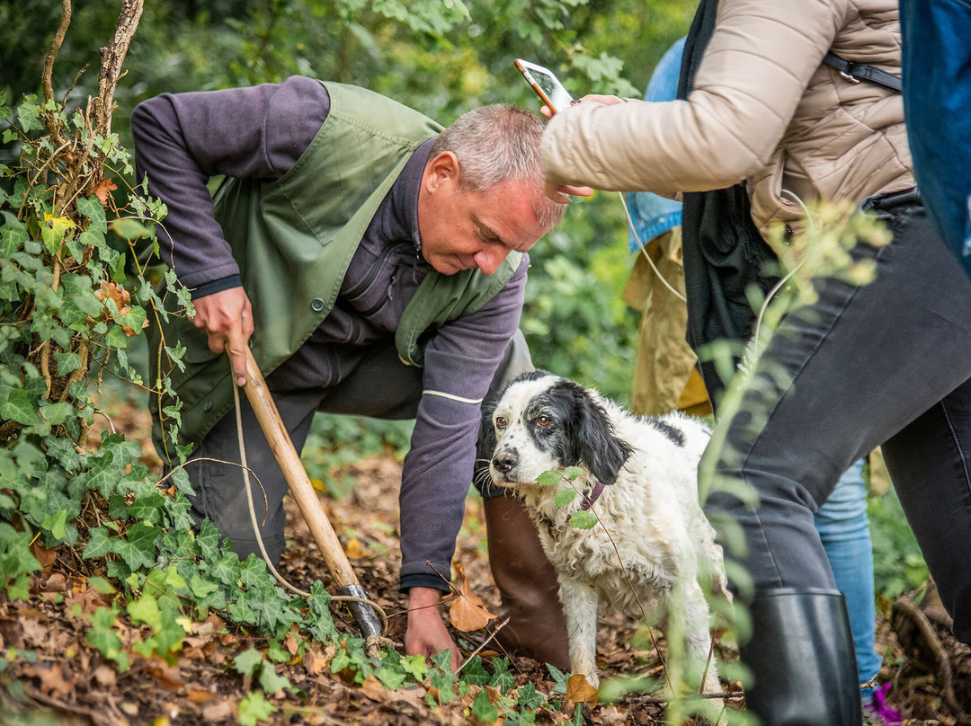 Truffle in Tuscany-圣米尼亚托必去景点