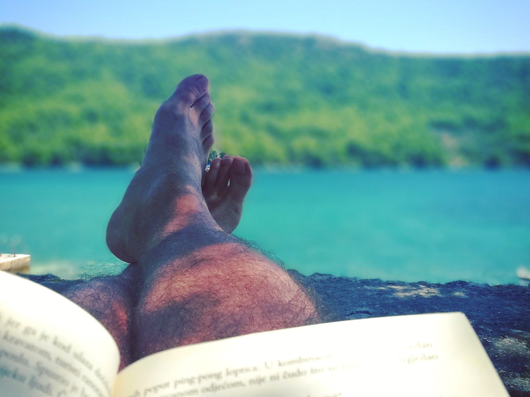 Broce旅游攻略图片