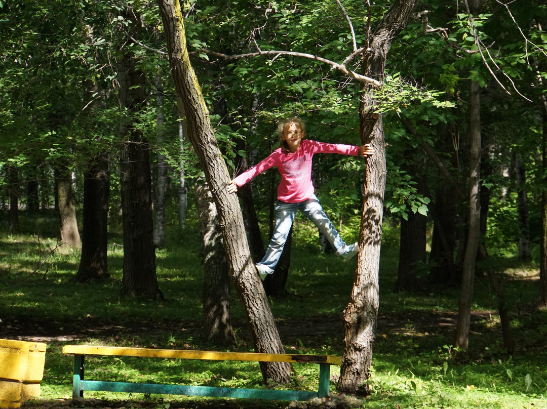 Stroitel Park-Komsomolsk-on-Amur必去景点