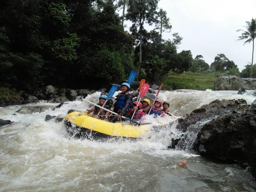 Arung Jeram Cisadane - Rafting Cisadane景点图片