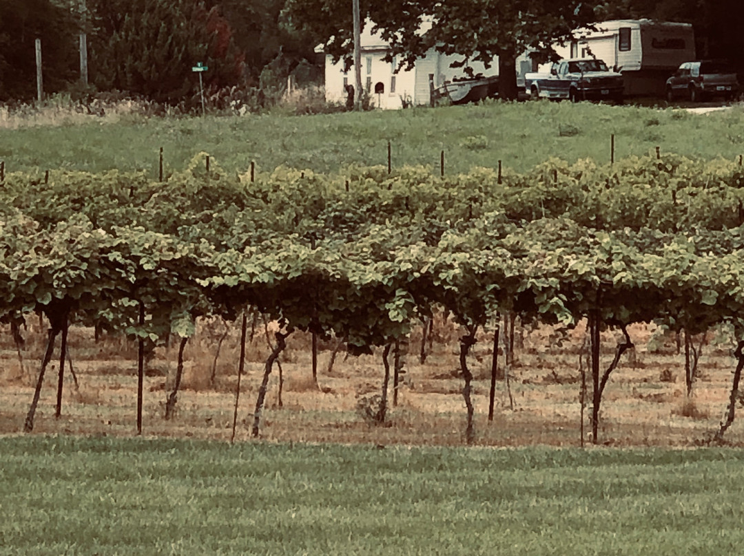 Van Till Family Farm Winery景点图片