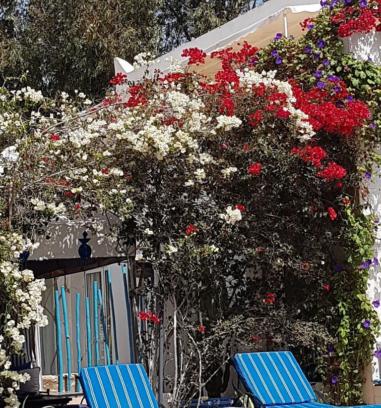 大巴别墅酒店主图