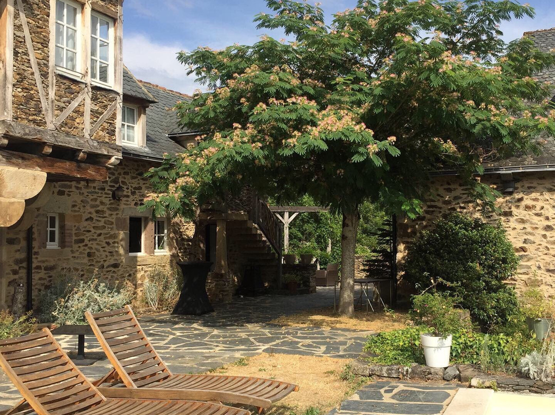Chateau de Longcol主图
