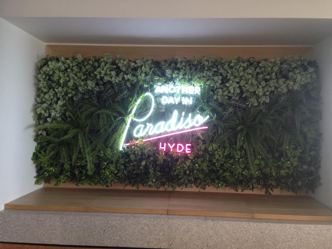 冲浪者天堂旅游景点-Hyde Paradiso