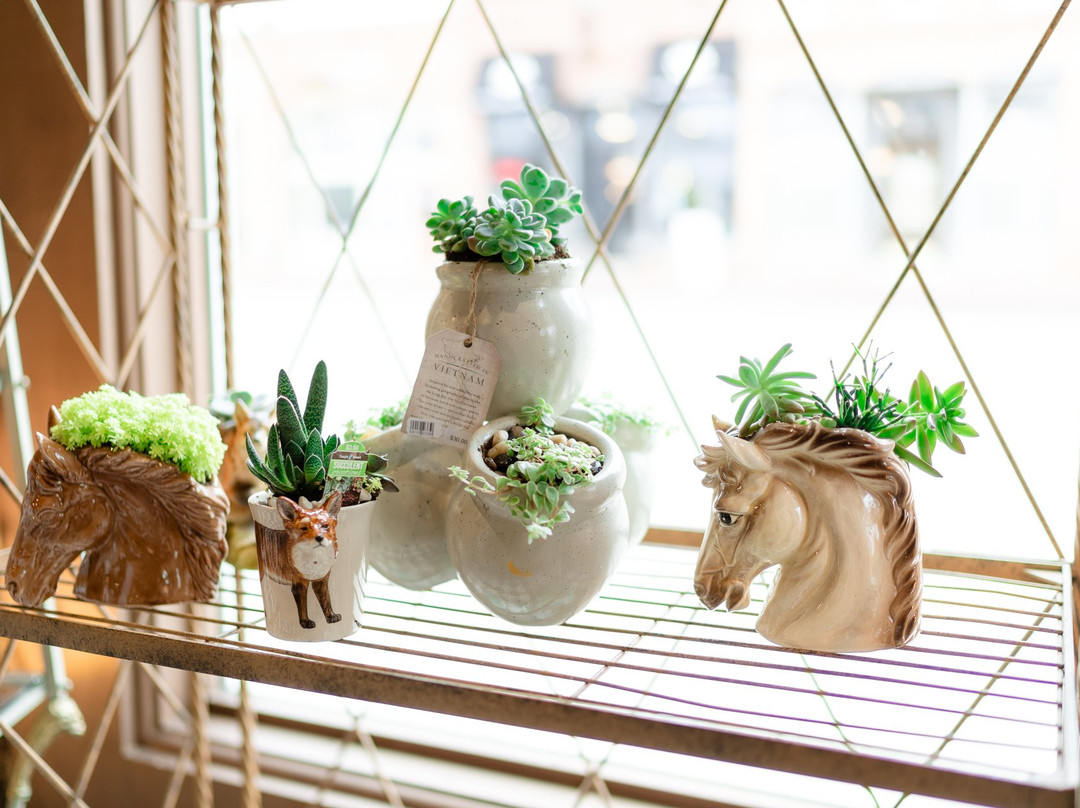 Metamora General Store-Metamora必去景点