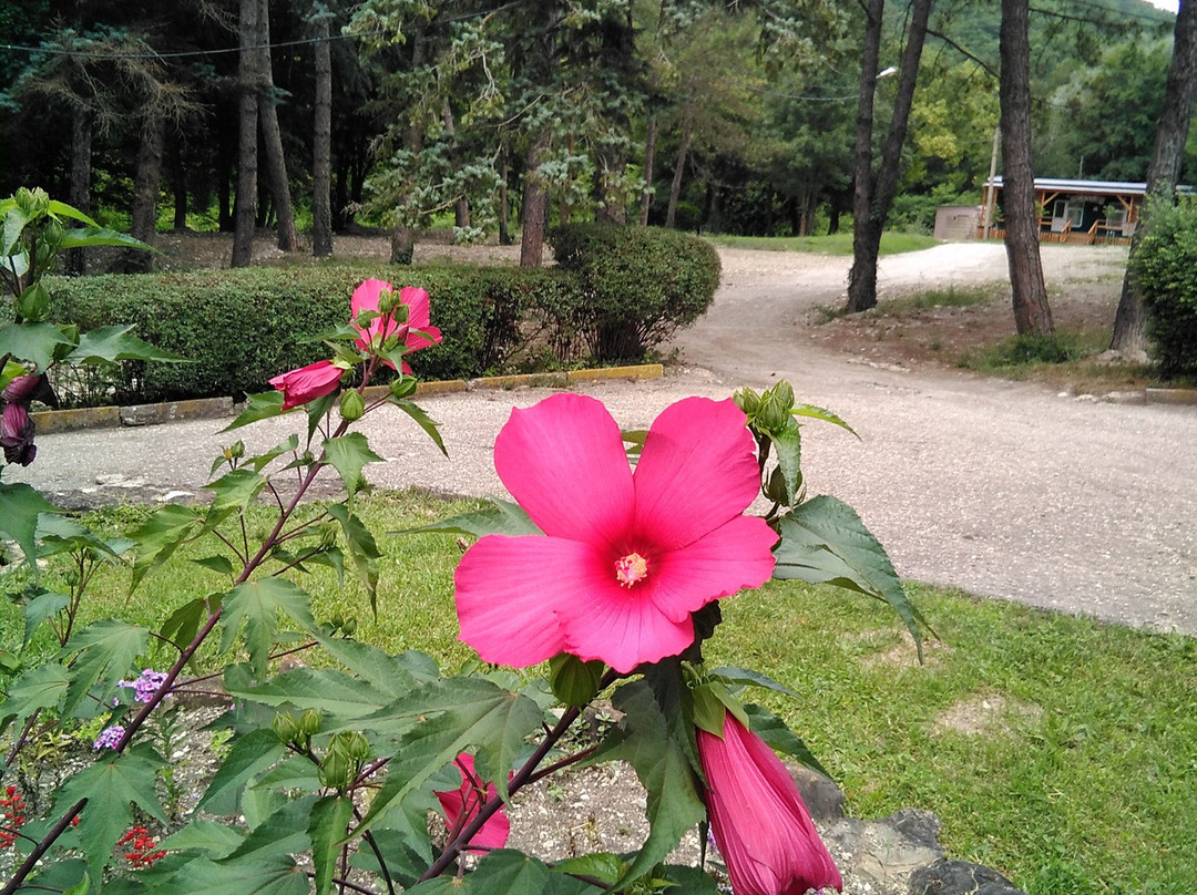 Pension Yuzhny主图