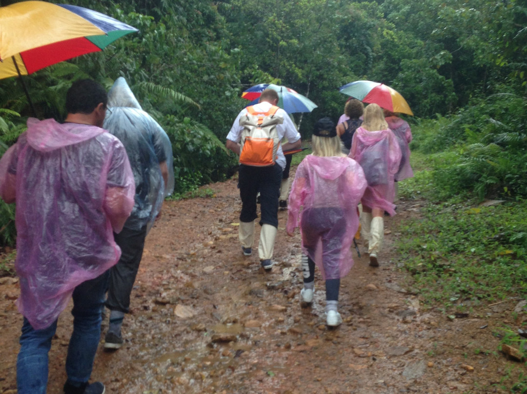 Sinharaja Rain Forest Tours-Deniyaya必去景点