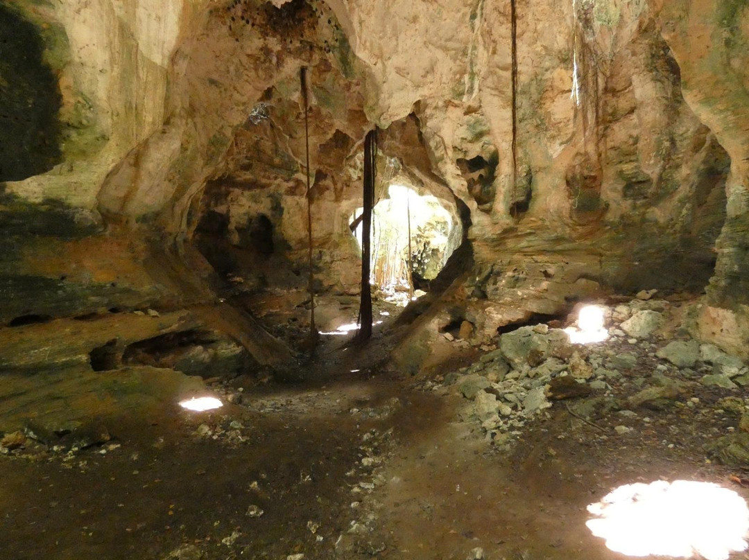 Cathedral Cave (Spider Cave)景点图片