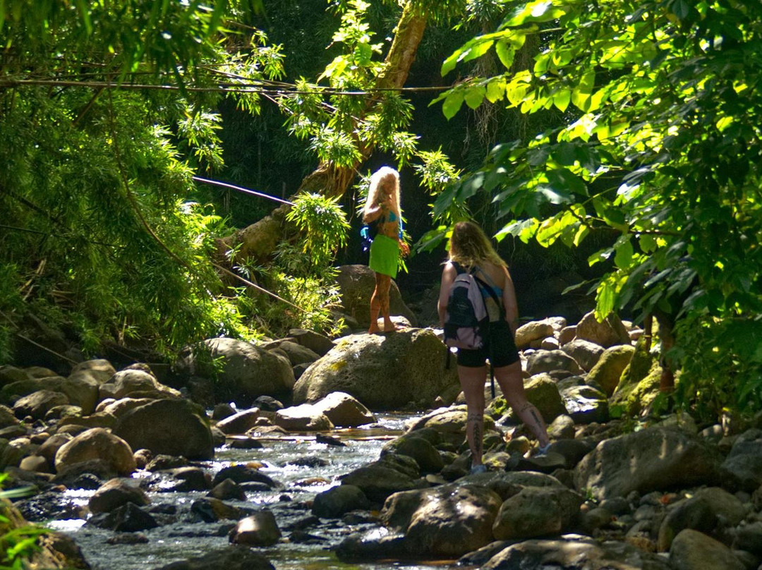 Elf's Custom Island Adventures-瓦胡岛必去景点