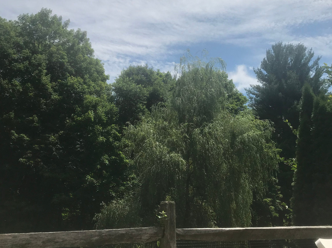 Green Acres Bed and Breakfast主图