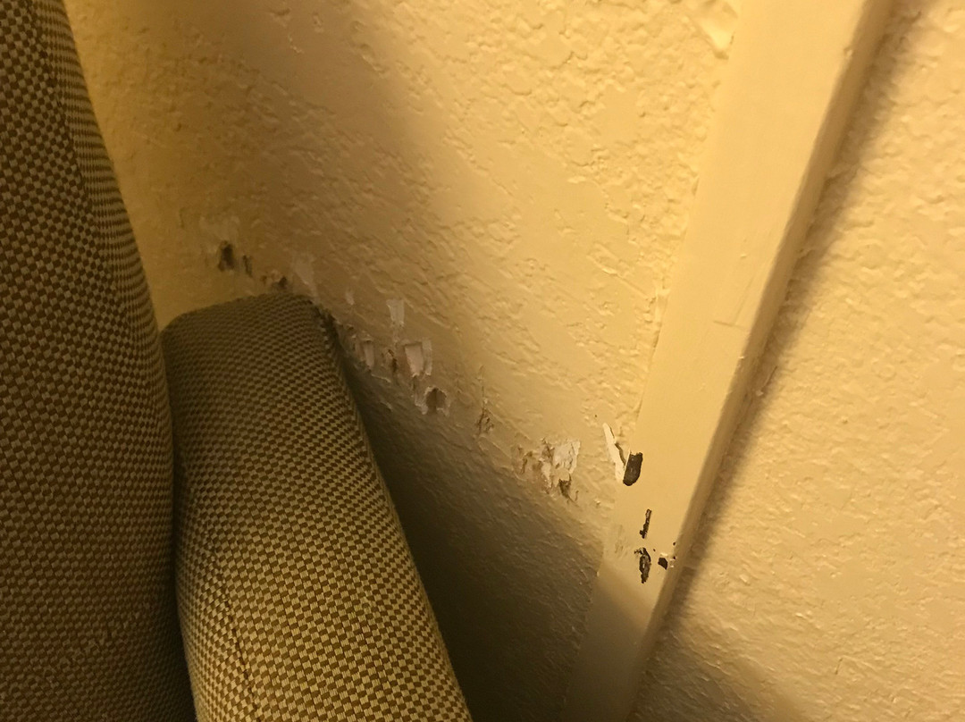 斯特尔沃特广场酒店主图