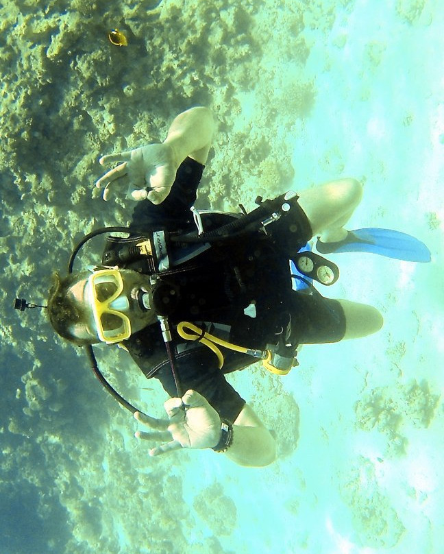 Millennium divers Sharm-沙姆沙伊赫必去景点